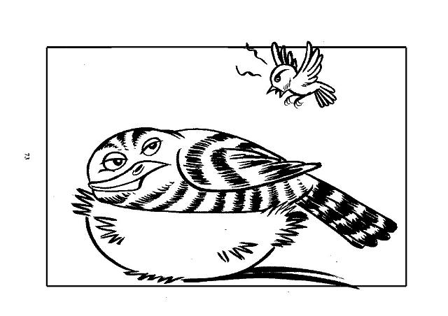 Xori ttiki05