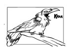 Xori ttiki06